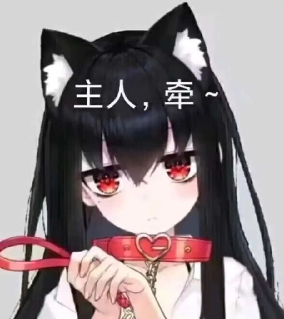 【西檬之家】Sub是什么？字母圈新人入圈指南