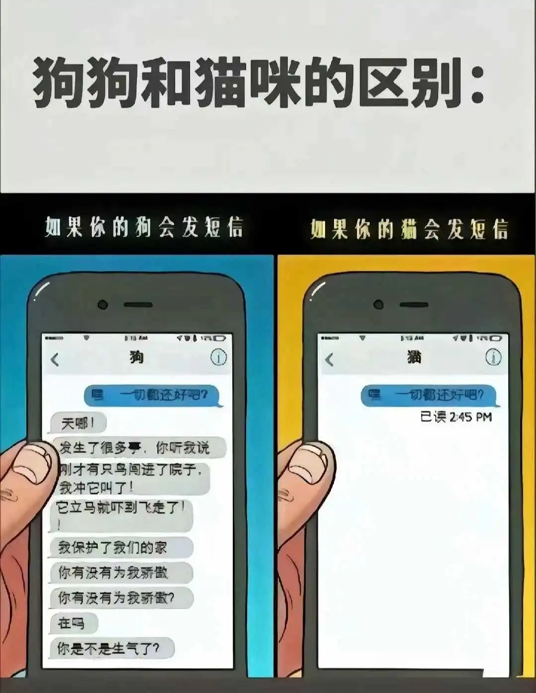 【西檬之家】Brat属性是什么？字母圈新人必读指南