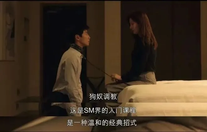【西檬之家】字母圈DOM是什么意思？