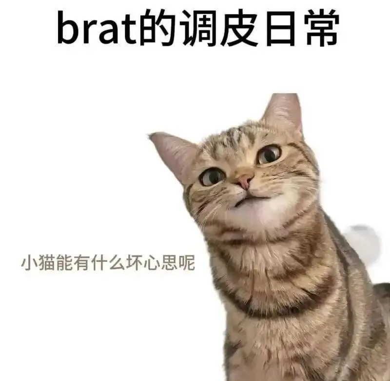 TK - 微信图片_20251203212836_109_19