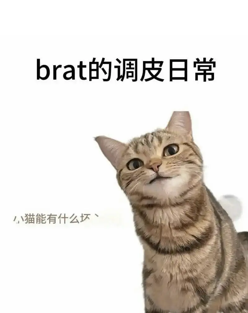 s属性 - 2025-11-13 192048