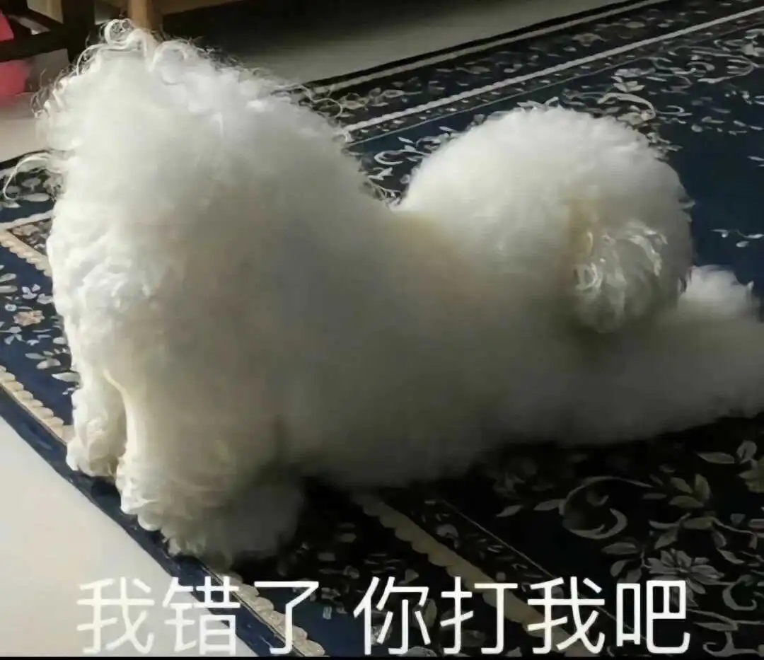西檬之家-字母圈入圈指南