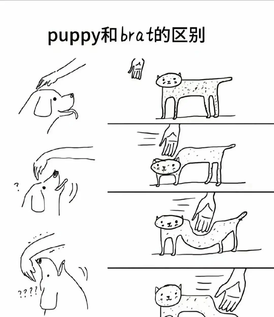 [西檬之家-M是什么？你的字母圈身份初探]