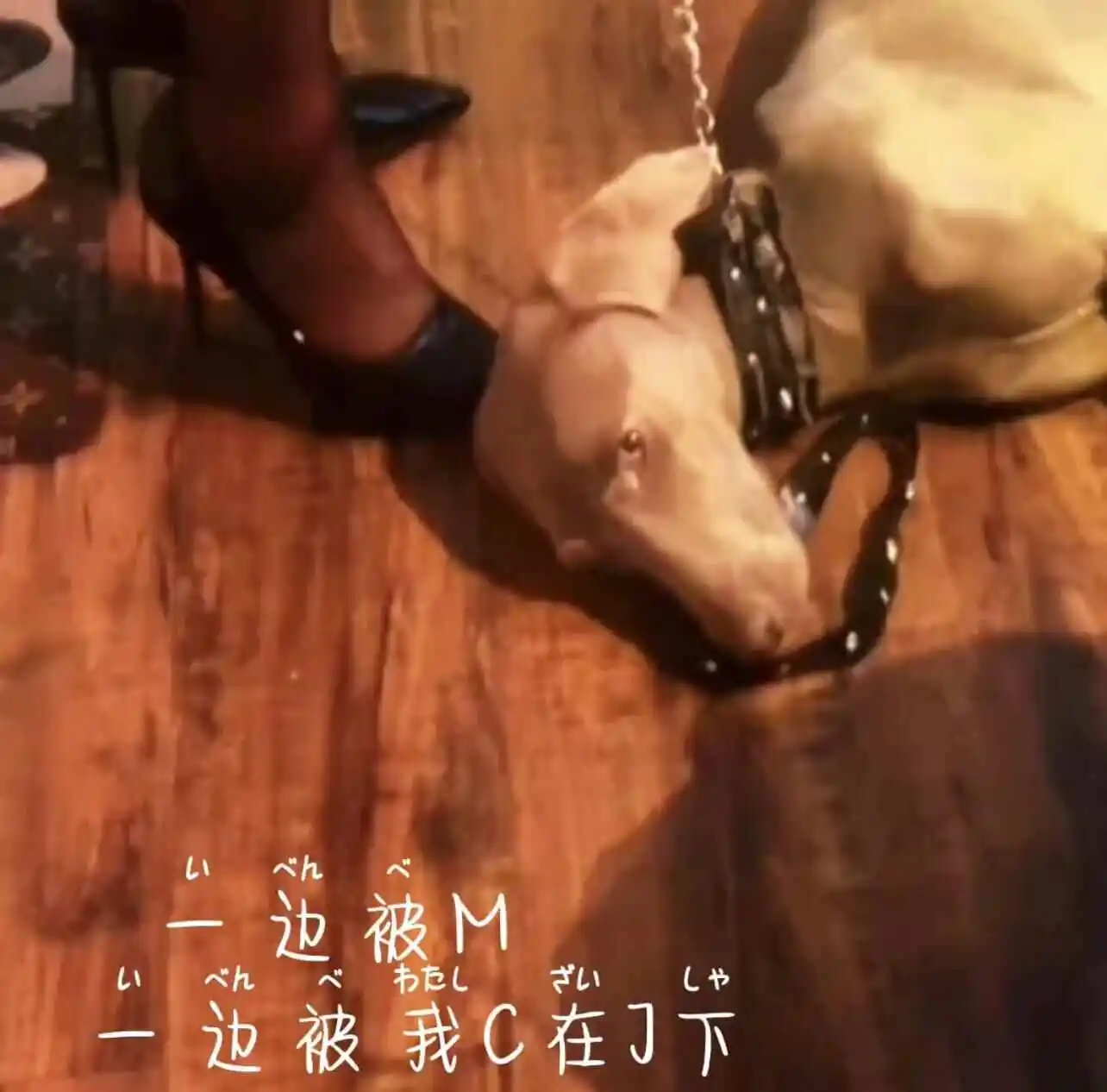 管教 - 2023_11_07_20_50_IMG_8911